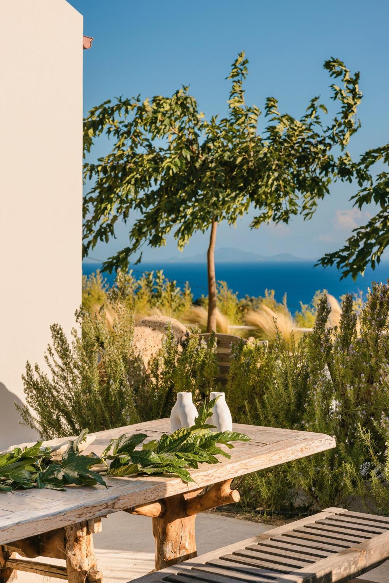 Spathes Suites Kefalonia - Luxury Suites Ratzaklíon Extérieur photo