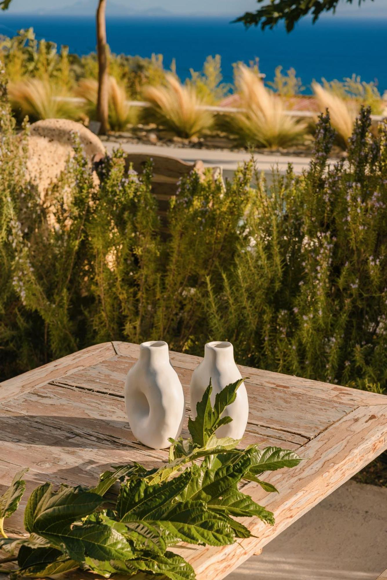 Spathes Suites Kefalonia - Luxury Suites Ratzaklíon Extérieur photo